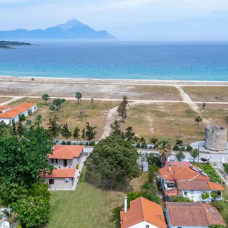 Athos View - Golden Fig Sykia